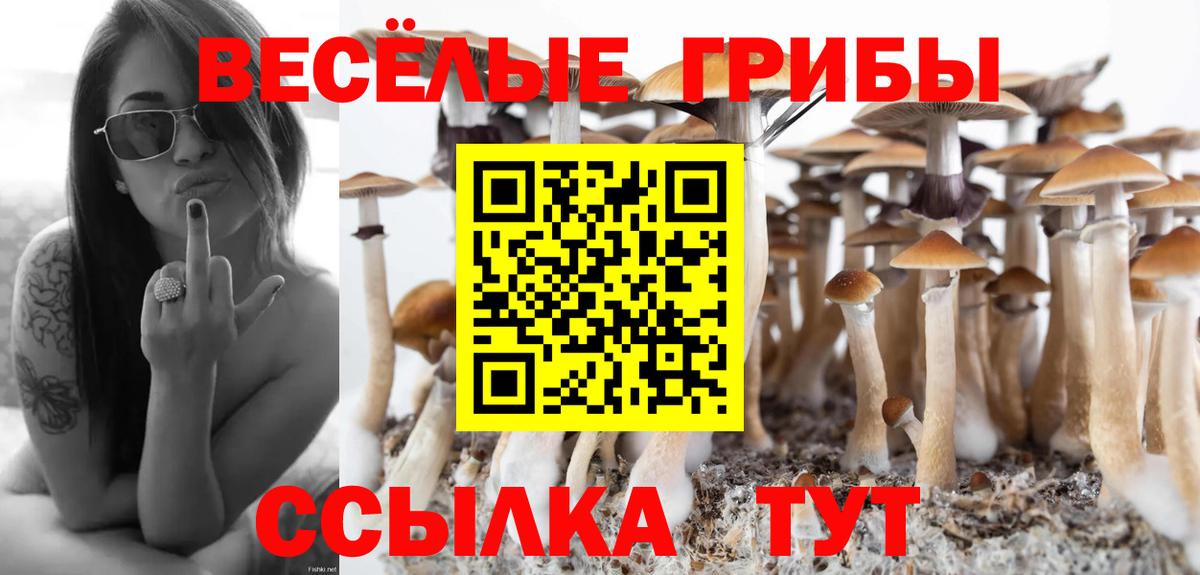 Псилоцибиновые грибы мицелий Кимовск